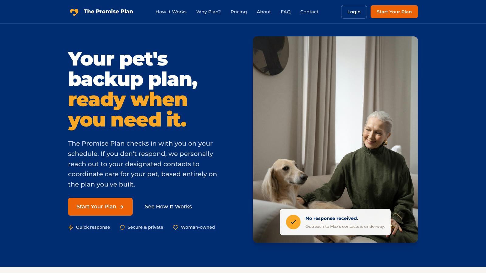 Case study visual for The Promise Plan
